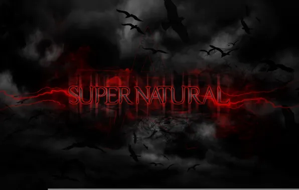 Picture birds, background, black, supernatural, supernatural