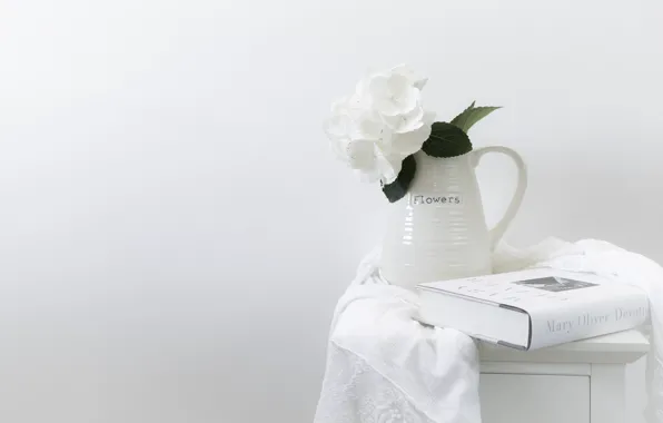 Flowers, background, book