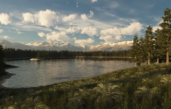 Picture forest, trees, mountains, lake, hills, island, spruce, art