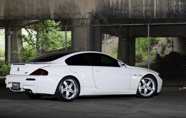 Picture white, trees, bmw, BMW, the fence, white, rear view, barbed wire