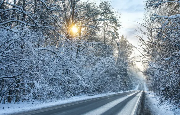 Picture winter, road, snow, landscape