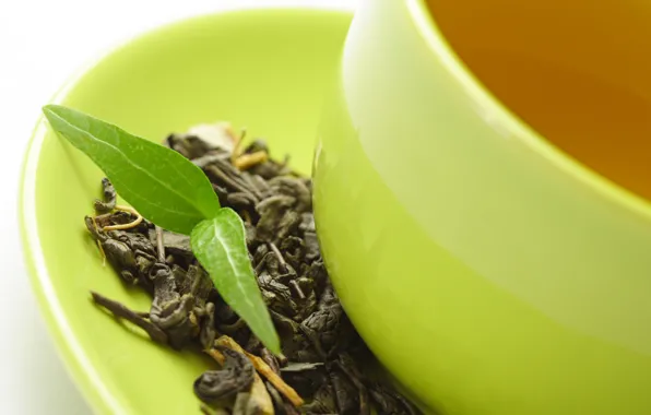 Tea, leaf, plant, Cup