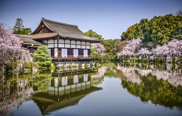 Trees, lake, pond, Park, reflection, spring, Japan, Sakura