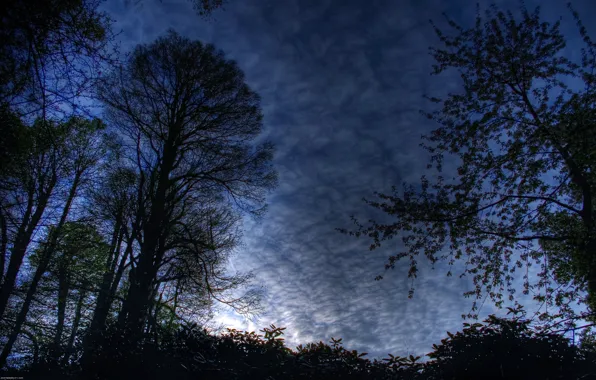 The sky, landscape, night