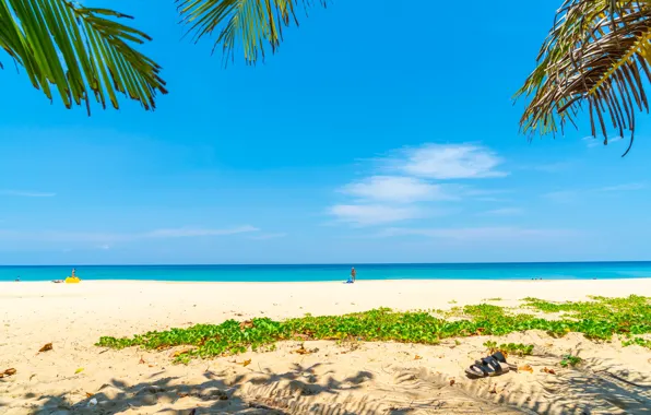 Sand, sea, beach, summer, the sky, the sun, palm trees, shore