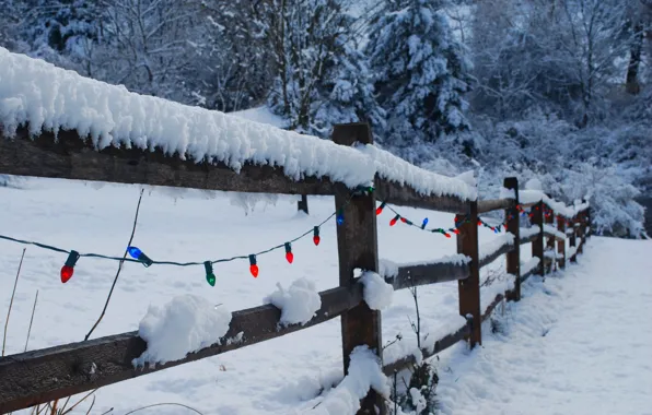 Picture winter, light, snow, nature, lights, holiday, the fence, Christmas