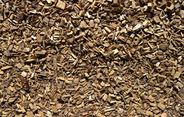 Picture wallpaper, wood, texture, background, path, shred, shredded wood