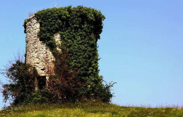 Picture the sky, grass, tower, ruins, ivy