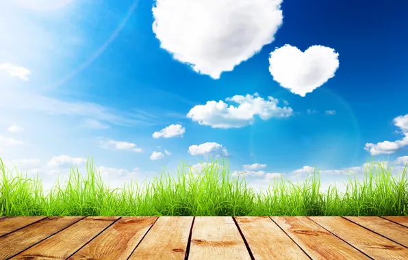 Picture greens, summer, the sky, grass, the sun, clouds, Board, hearts