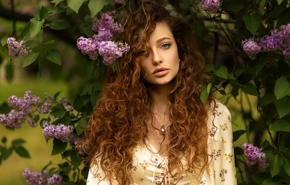 Look, girl, portrait, long hair, lilac, Dmitry Shulgin