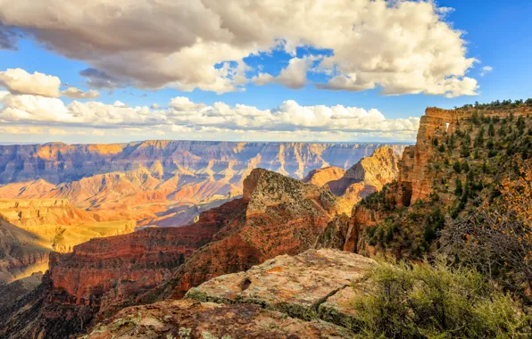 AZ, USA, Arizona, Grand Canyon National Park, Coconino