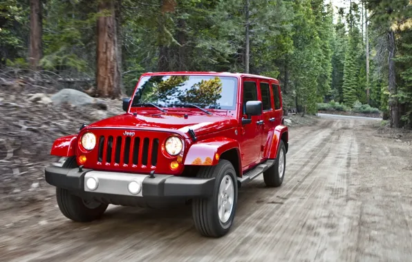 Picture road, trees, red, SUV, Jeep, Sahara, the front, Wrangler