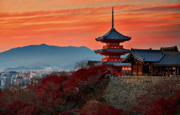 Picture autumn, Japan, temple, Kyoto