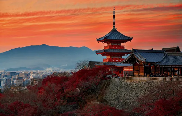 Autumn, Japan, temple, Kyoto