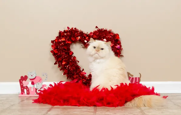 Cat, white, cat, love, wall, tile, toy, heart