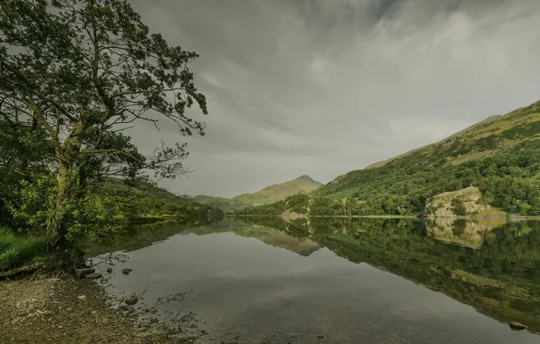 Picture trees, landscape, mountains, lake, Wales, Llyn Gwynant