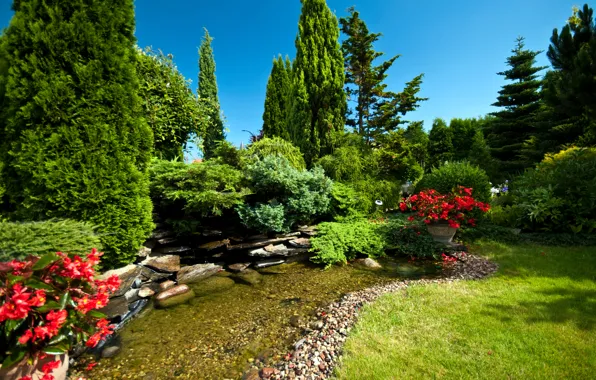 Greens, grass, trees, flowers, Park, stream, stones, the bushes