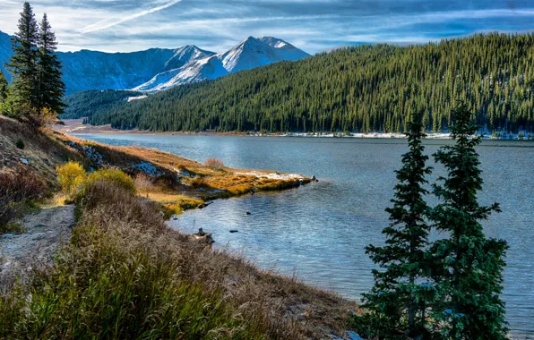 Forest, grass, snow, trees, mountains, river, USA, Sunny