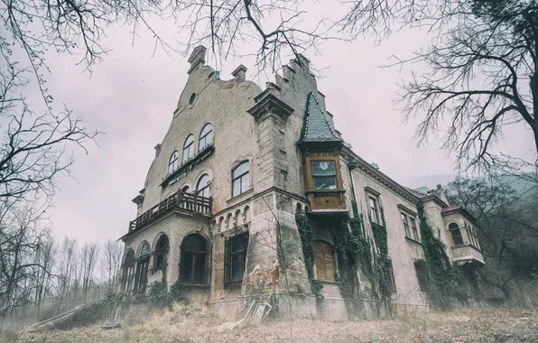 Picture the sky, trees, branches, architecture, The abandoned mansion