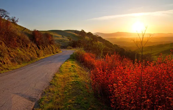 Road, landscape, sunset