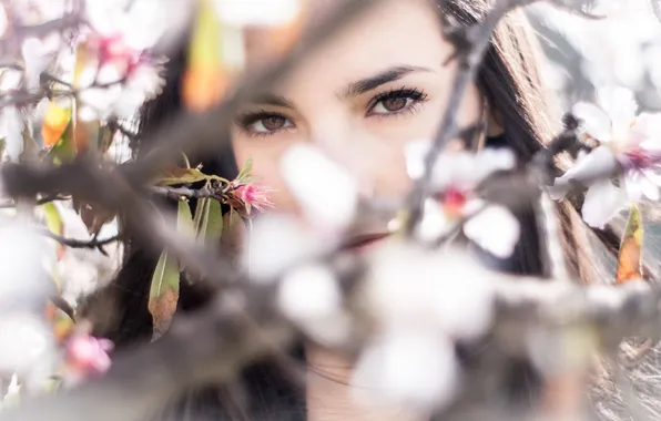 Eyes, look, girl, trees, flowers, branch