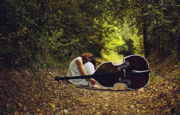Picture forest, look, girl, brown hair, bass, nightgown
