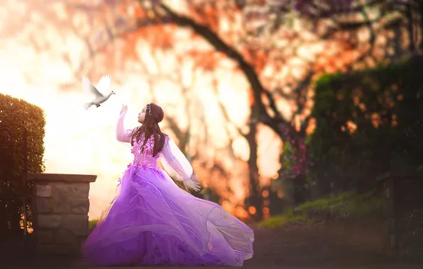 Dress, pigeons, girl, Flight of the Dove