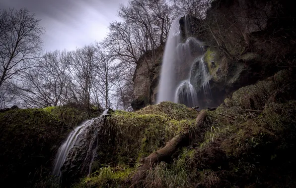 Picture forest, grass, trees, overcast, waterfall