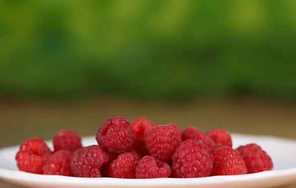 Berries, raspberry, plate, plate, berries, raspberries