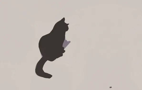 Picture shadow, grey background, black cat