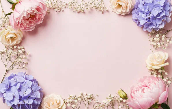 Flowers, frame, colorful, pink, flowers, frame, floral
