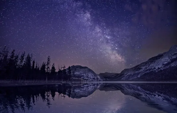 Forest, stars, mountains, night, lake, reflection, the milky way