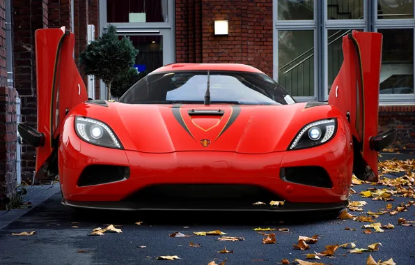 Picture autumn, leaves, red, Koenigsegg, beast, Red, autumn, Beast