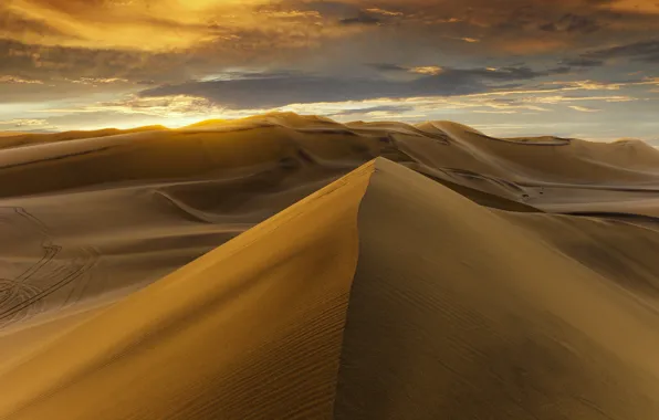 Picture desert, sunset, sand