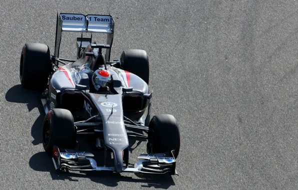 Formula 1, Clean, C33, Sutil