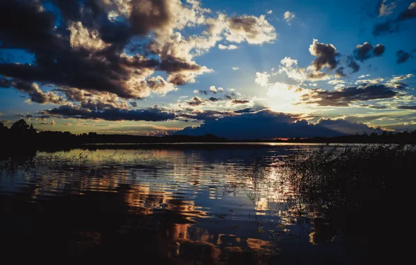 Wave, the sky, water, clouds, lake, Sunset, reed