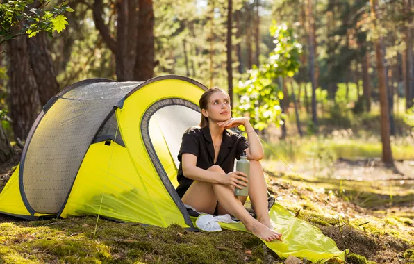 Forest, long hair, trees, model, brunette, gorgeous, posing, tent