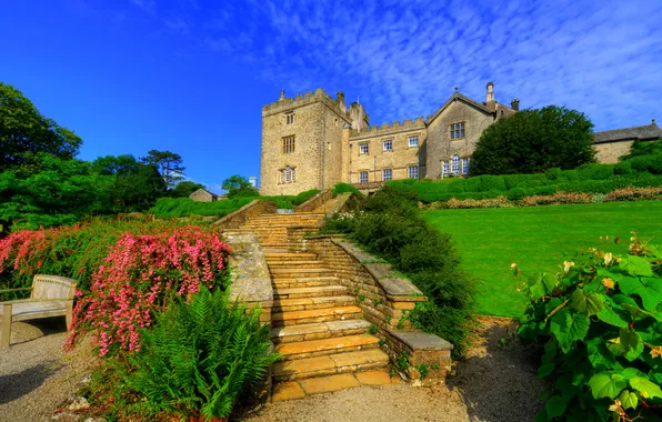 Greens, the sky, the sun, trees, castle, lawn, England, garden