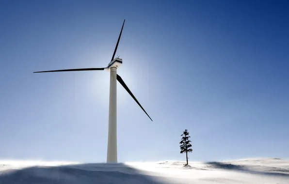 Trees, landscape, windmills