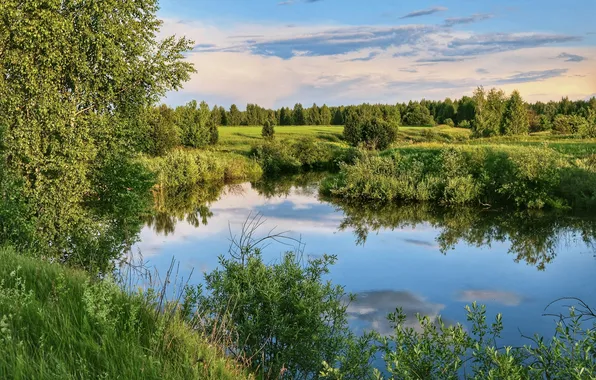 Clouds, trees, river, beauty, Bank, Yuri Morozov