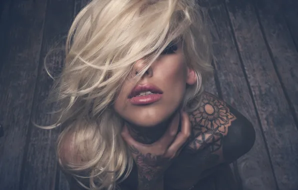 Tattoo, sponge, Lauren Brock, Jack Russell