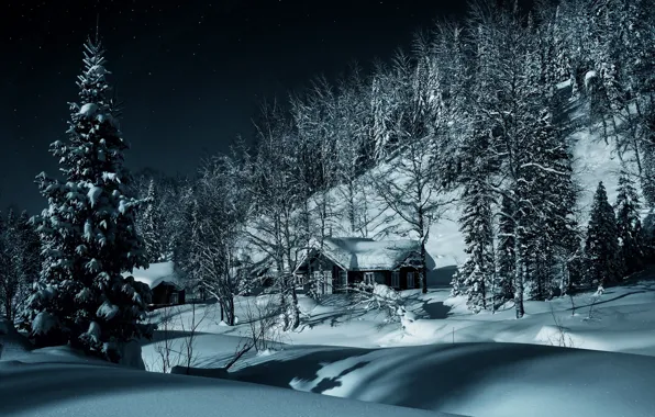 Picture winter, forest, snow, trees, village, the snow, houses, Russia