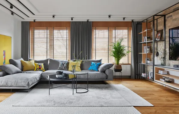Design, style, room, interior, plants, sofa, living room, shelves