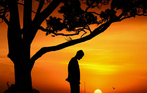 Sky, sunset, clouds, man, silhouette of tree