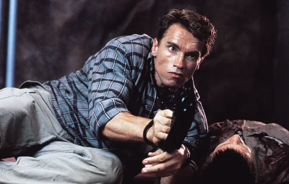Terminator, Arnold Schwarzenegger, arnold schwarzenegger, remember all, Arnie