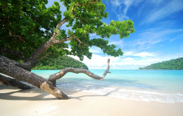 Sand, sea, wave, beach, summer, the sky, trees, shore