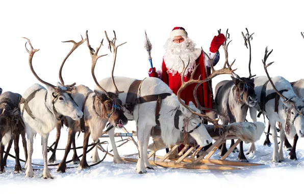 Picture sleigh, Santa Claus, deer