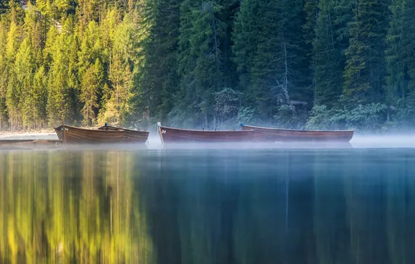 Picture forest, lake, reflection, boat, pond