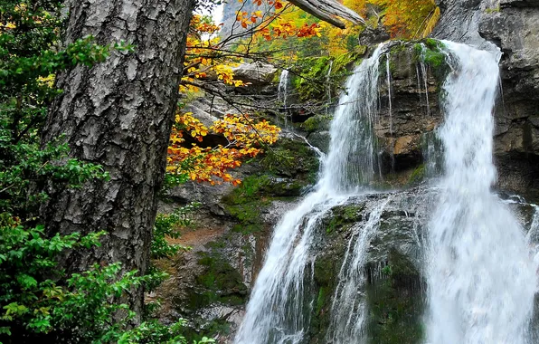 Autumn, forest, branches, tree, rocks, foliage, waterfall, moss