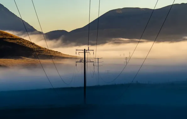 Picture fog, morning, power lines